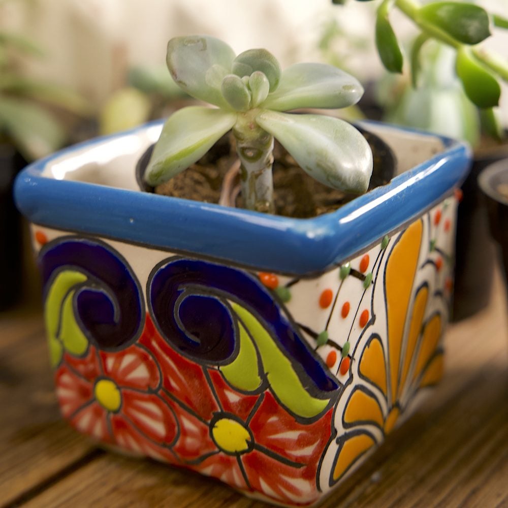 San Diego magazine holiday gift guide item tiled planter from Casa Xovi