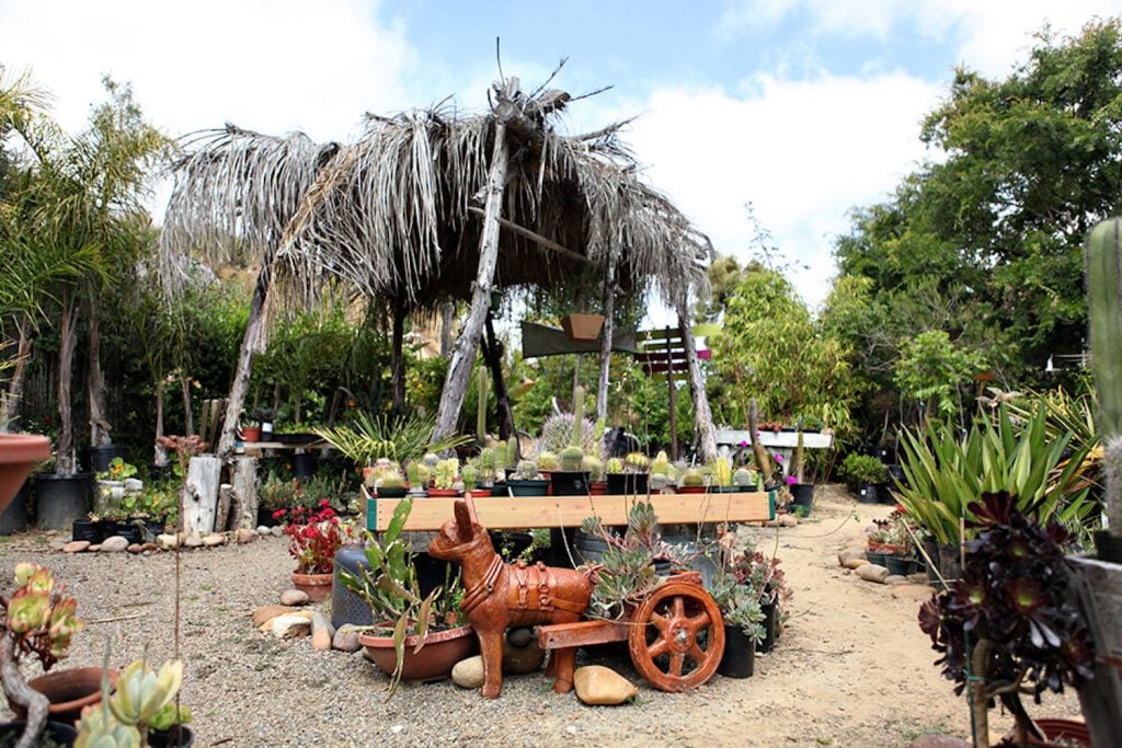 Ceramic garden statues and succulents outside at City Farmers Nursery and plant shop