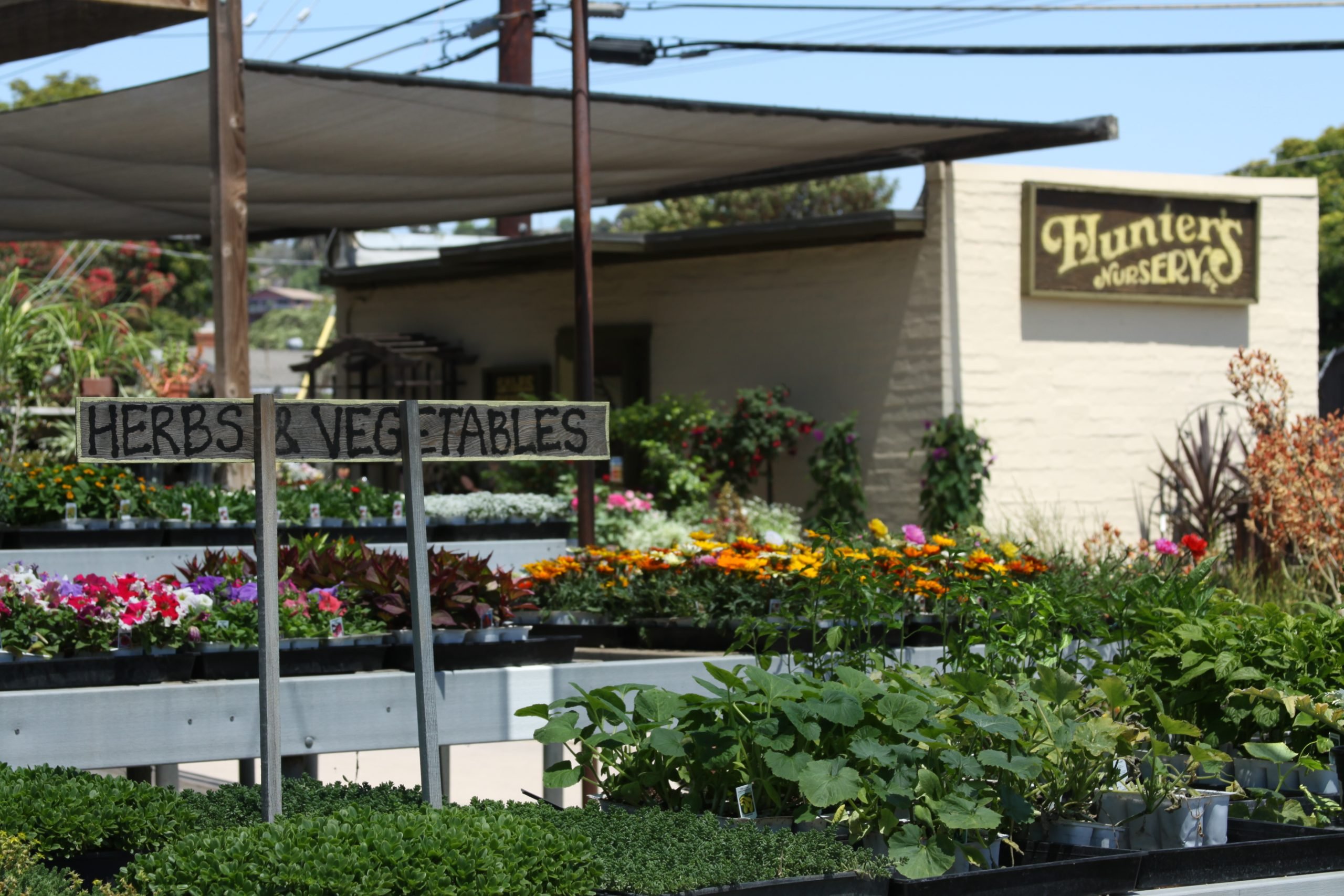 Hunter's Nursery and plant shop in Lemon Grove