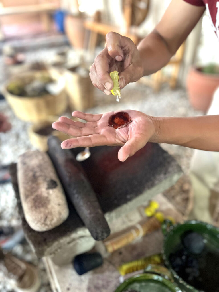 Textile worker adds acid or citrus to powdered cochineal bugs produces a rich blood-red dye