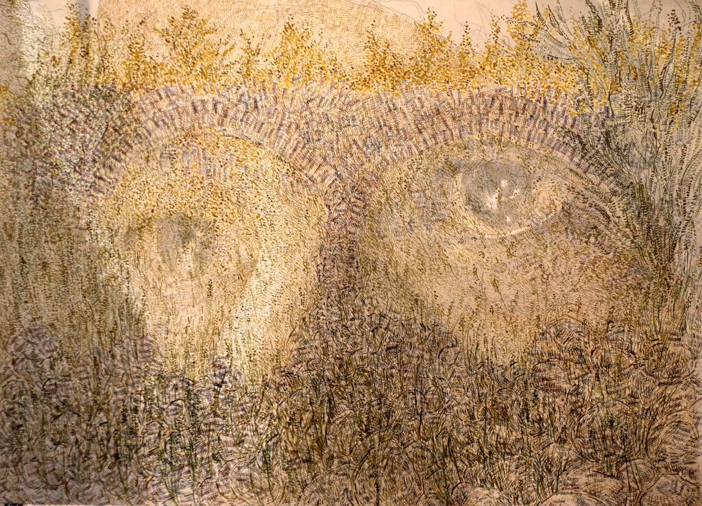 John Halaka's art piece Ghosts of Presence-Bodies of Absence. Memory of Memories #6 depicting eyes over a textured background