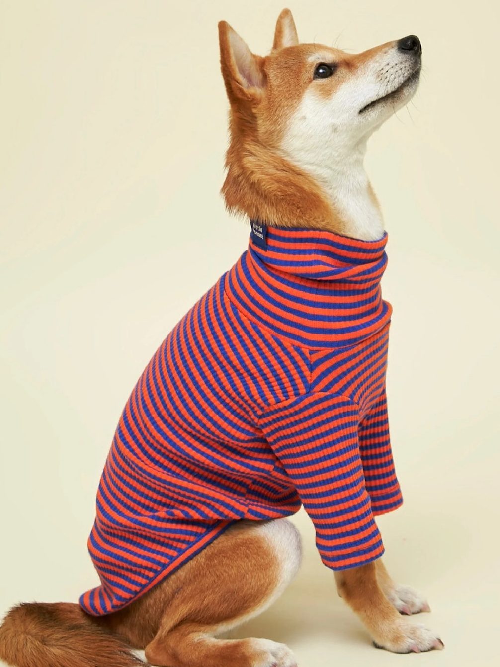 San Diego magazine holiday gift guide item Knickerbocker Sweatshirt for dogs from Little Beast