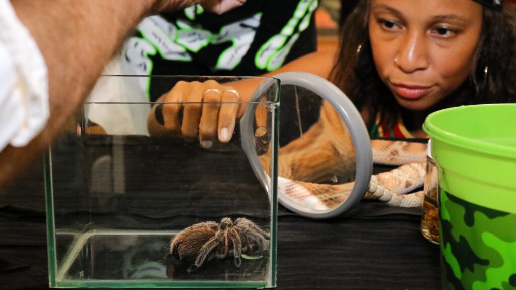 San Diego Natural History Museum Halloween party