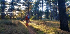 6 Local Hiking Groups to Join in San Diego