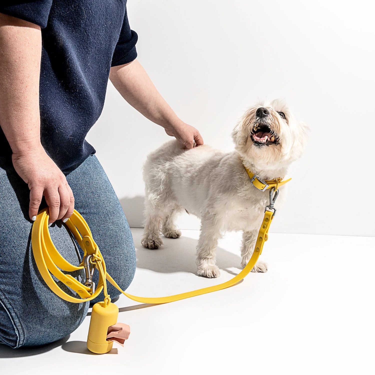 San Diego magazine holiday gift guide item Wild One leash, from Shop Moniker