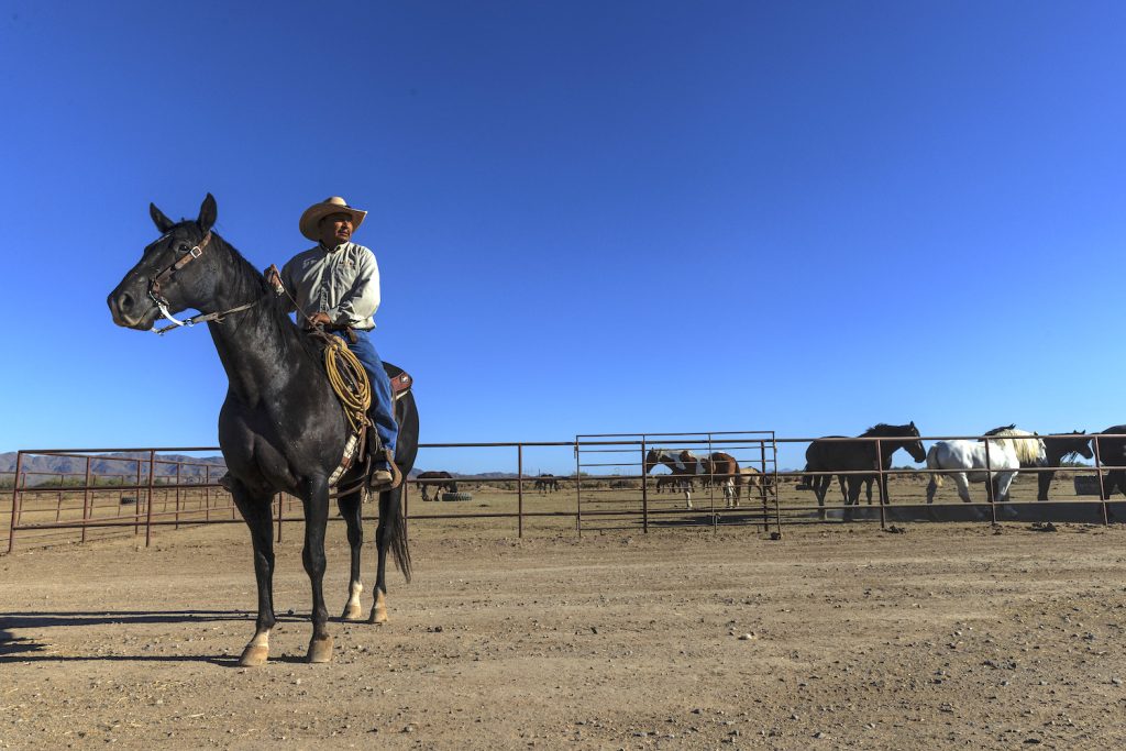 Chuck Pablo, the owner of Koli Equestrian Center atop a horse at Wild Horse Pass.