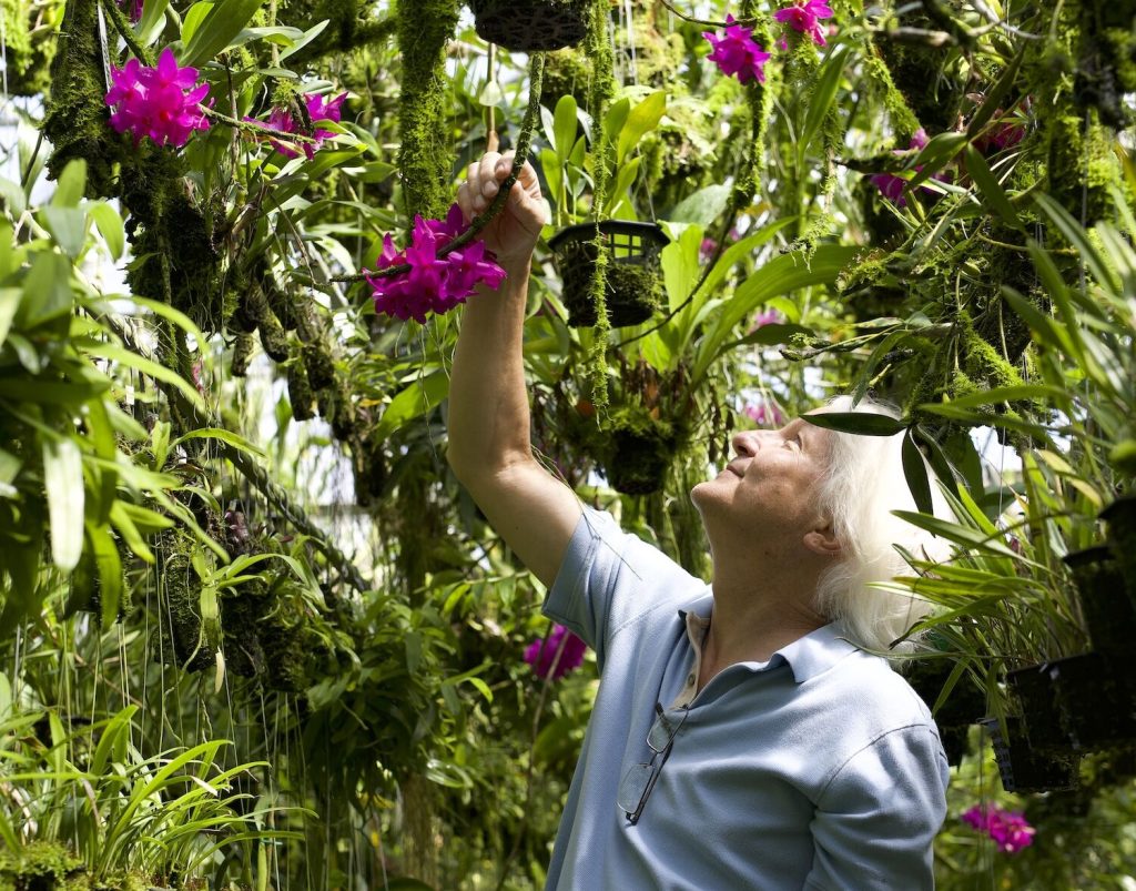 Andy Phillips admiring orchid's at his nursery Andy's Orchids in Leucadia, the largest rare orchic collection in the US