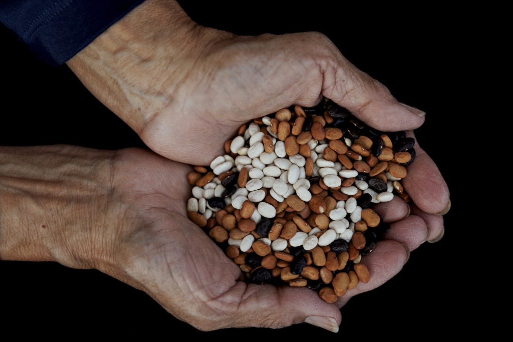 Ramona Button holds tepary beans, which were nearly extinct in the region 