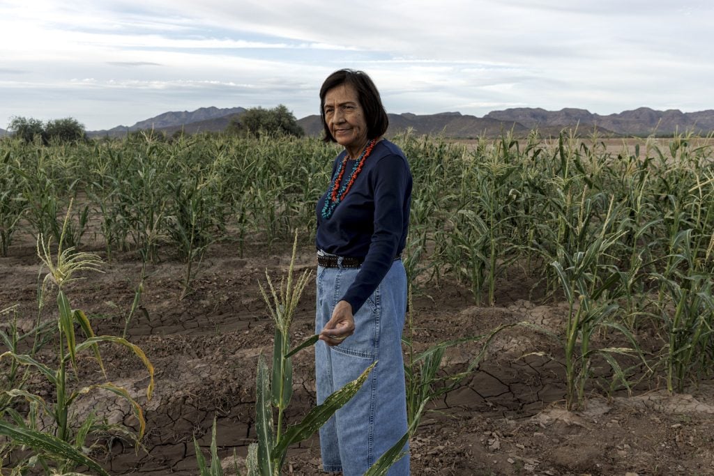 Indigenous woman standing in a corn field at her farm in Sacataon, Arizona
