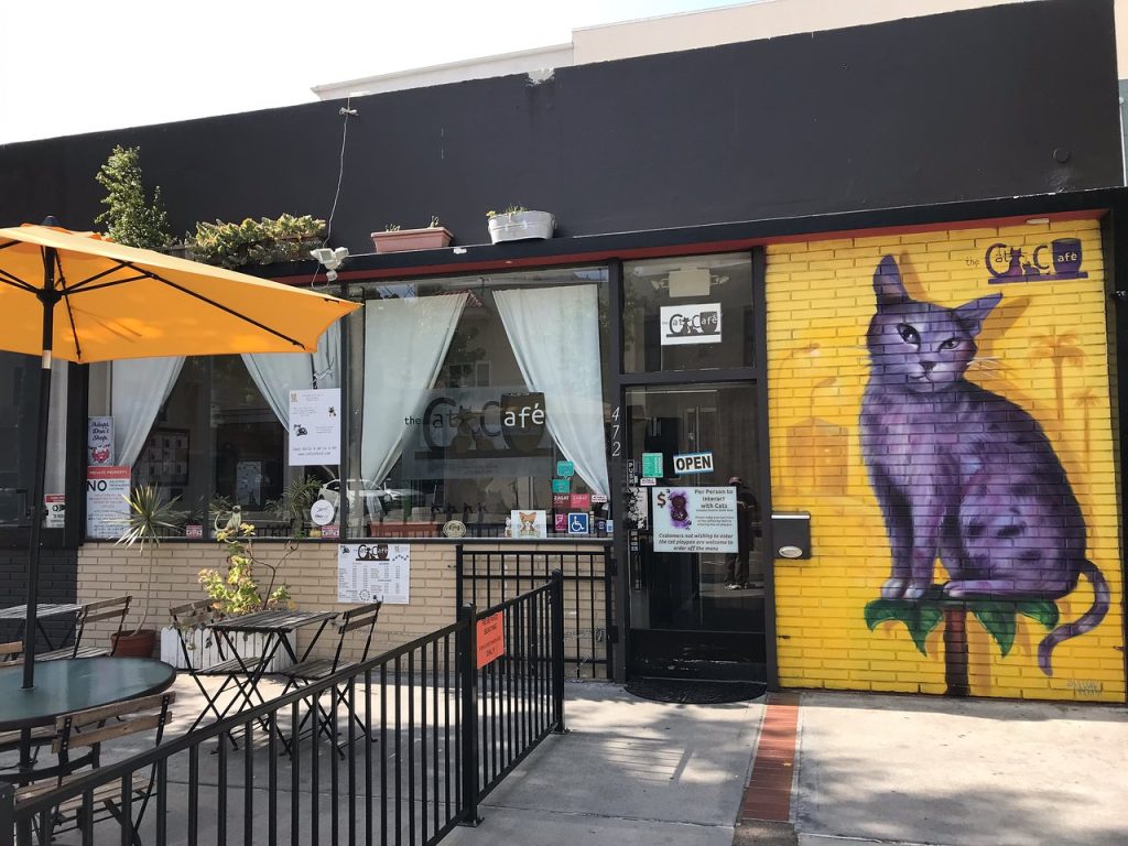 Exterior of the Cat Cafe located in the Gaslamp Quarter in San Diego featuring a large mural of a cat and an outdoor patio for customers