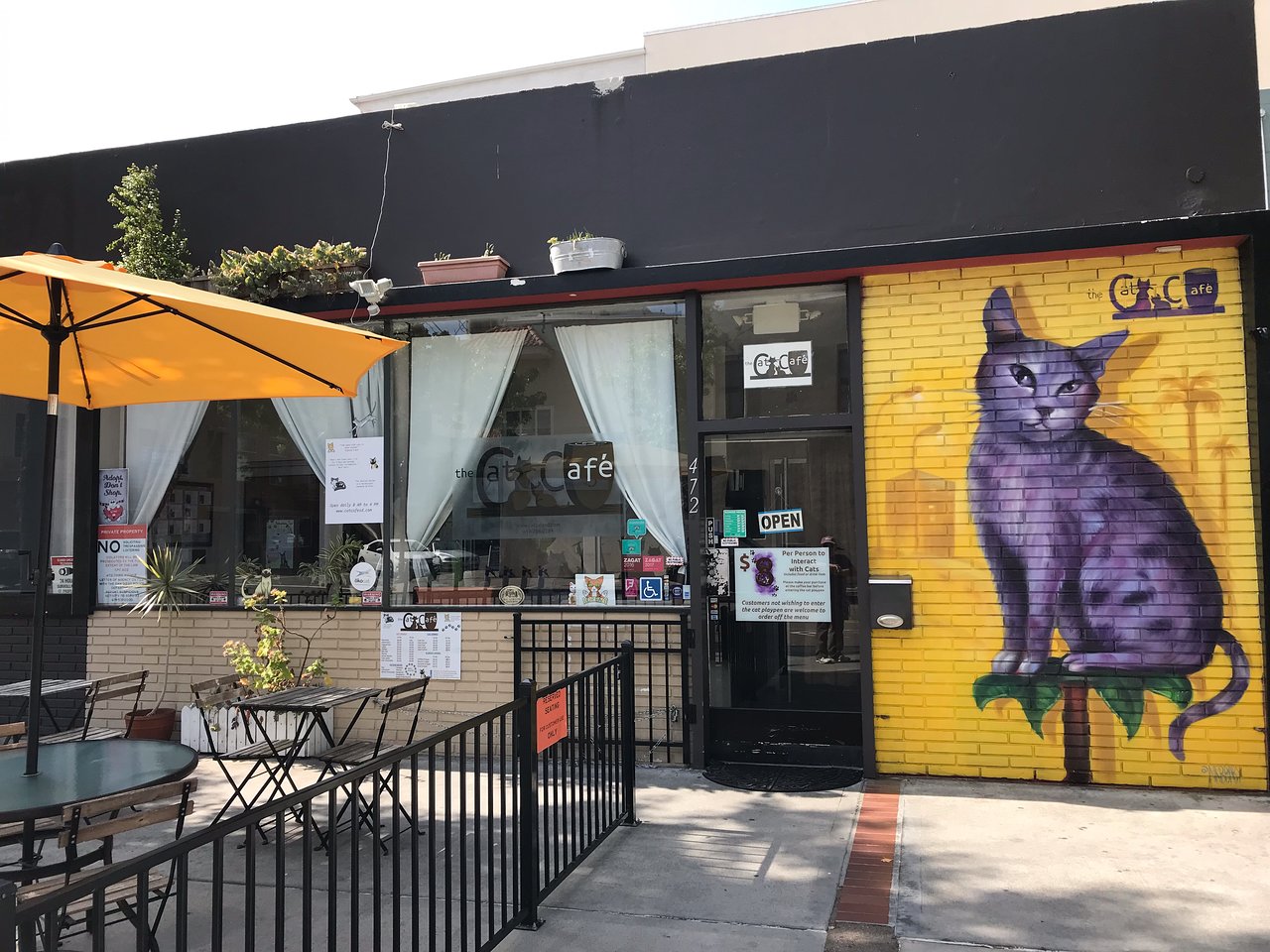 Exterior of The Cat Cafe located in the Gaslamp Quarter featuring an outdoor patio