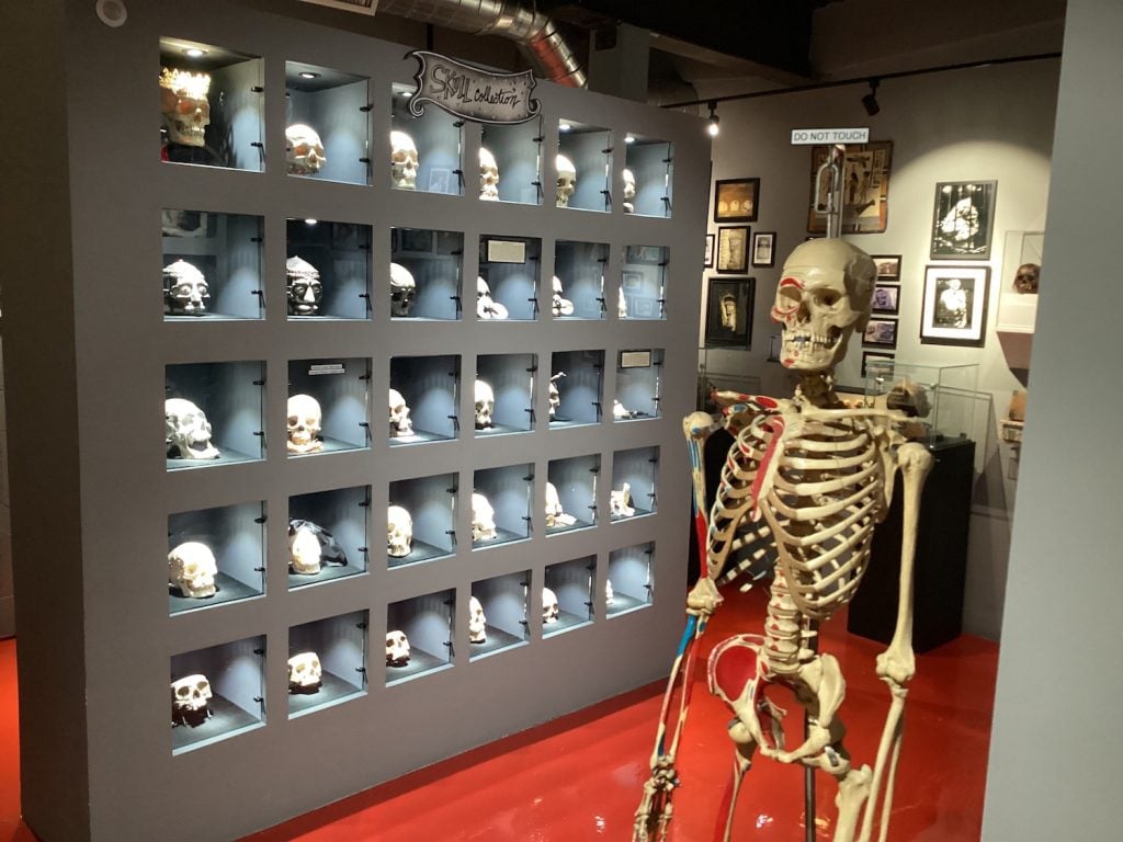 Interior of the Museum of Death in Los Angeles featuring skeletons, photographs, and footage of occult happenings related to death