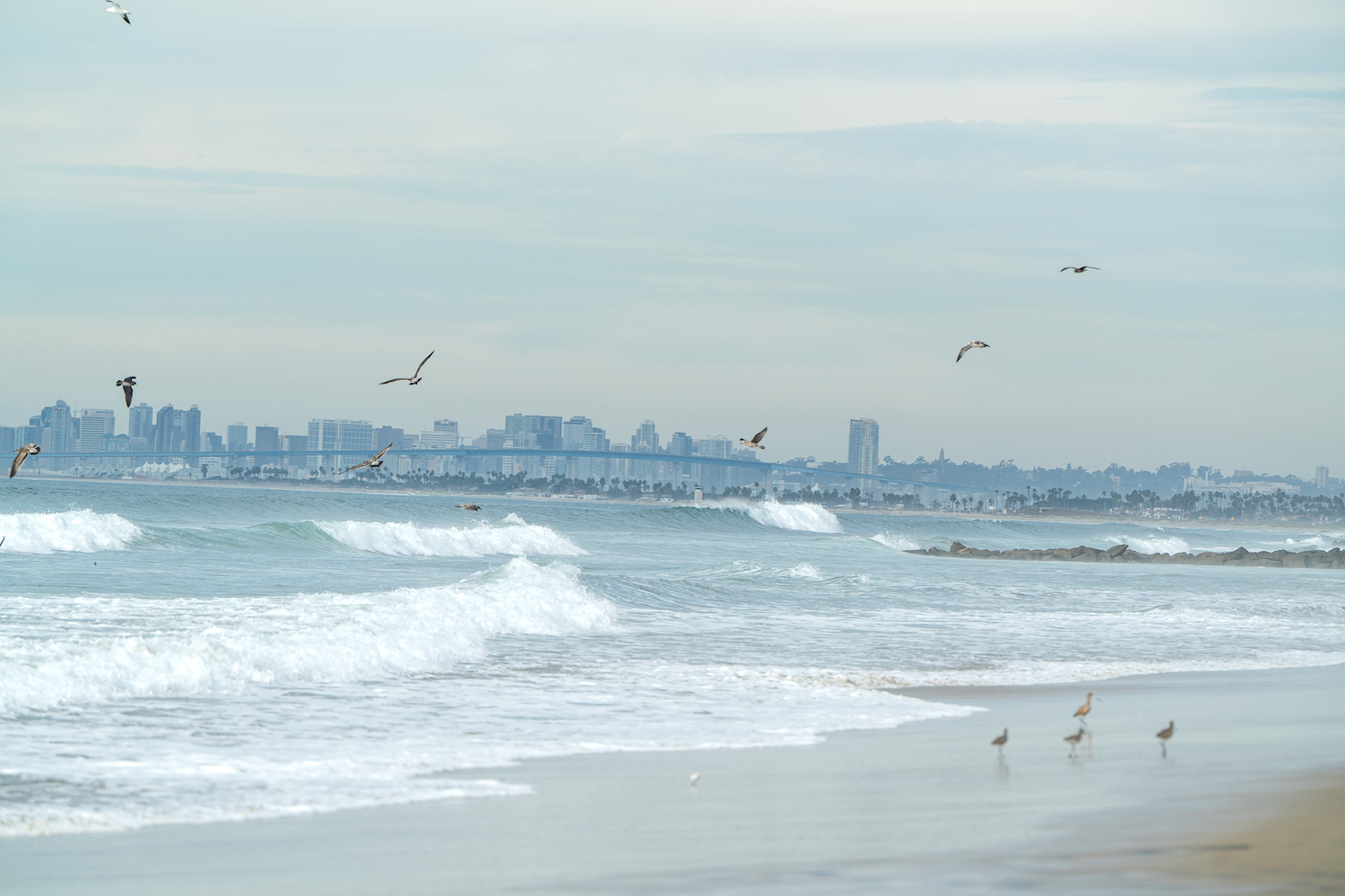 View of Imperial Beach, Silver Strand State Beach, and downtown skyline in San Diego's South Bay