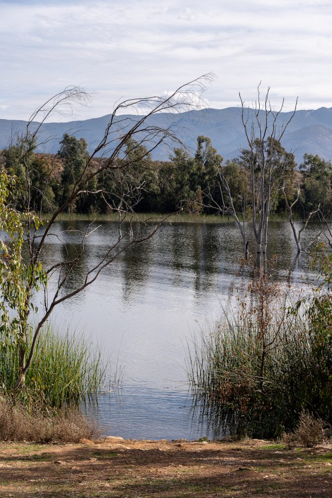 View of the Lower Otay Lakes Reservoir, a top destination for fishing with trees and the San Miguel Mountain of Chula Vista, part of San Diego's South Bay
