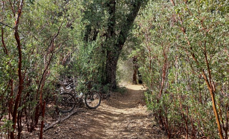 Mountain biking in San Diego