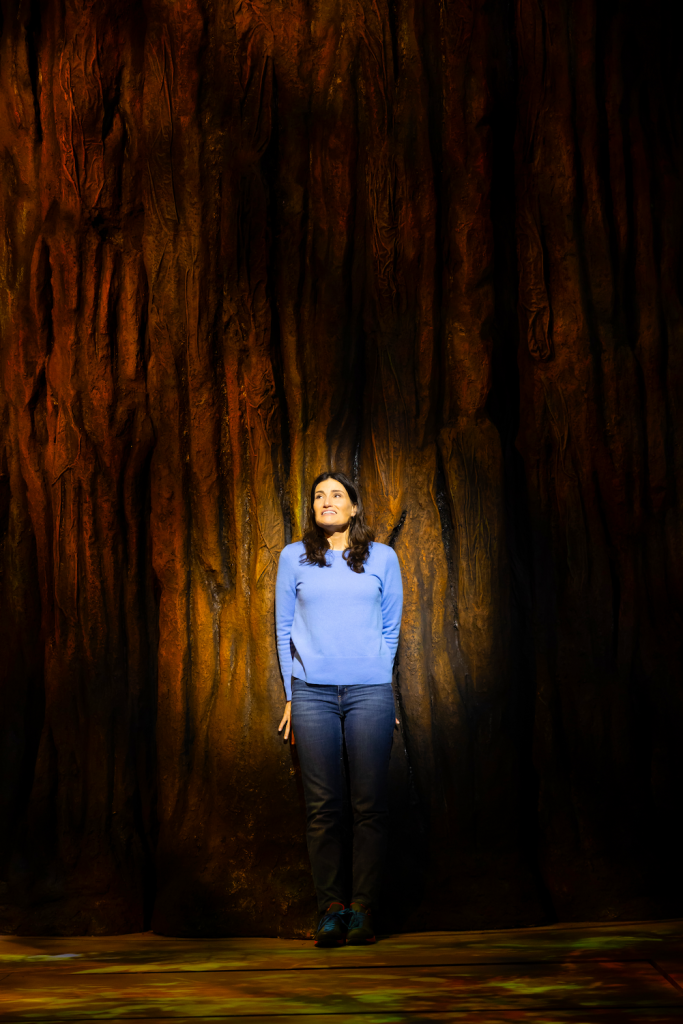 Idina Menzel in La Jolla Playhouse’s world-premiere production of Redwood with the actress standing in front of a giant redwood tree on stage

