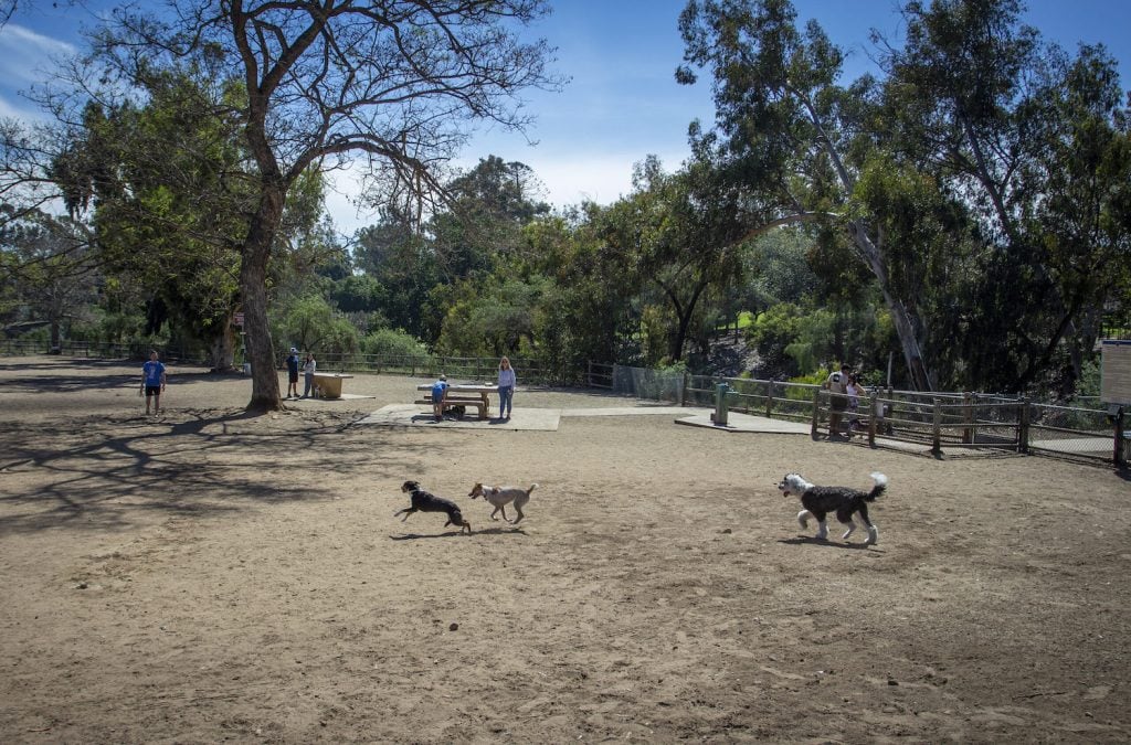 San Diego dog park in Balboa Park 