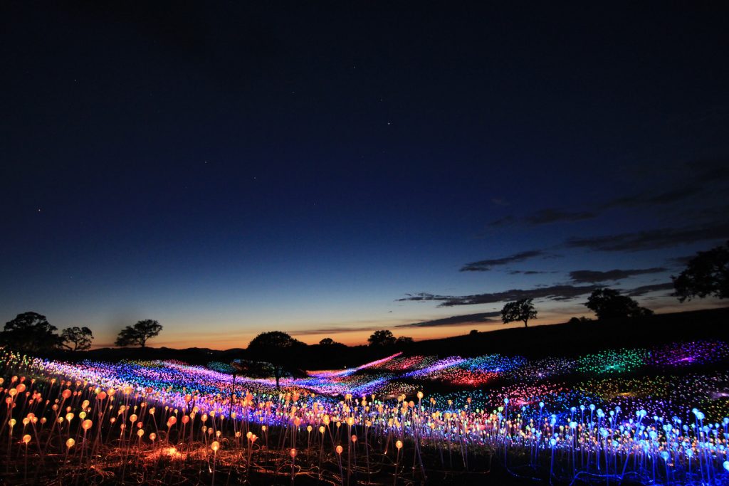 Bruce Munro's Sensorio art attraction featuring thousands of fiber optic sphere lights across a hillside in Paso Robles, California