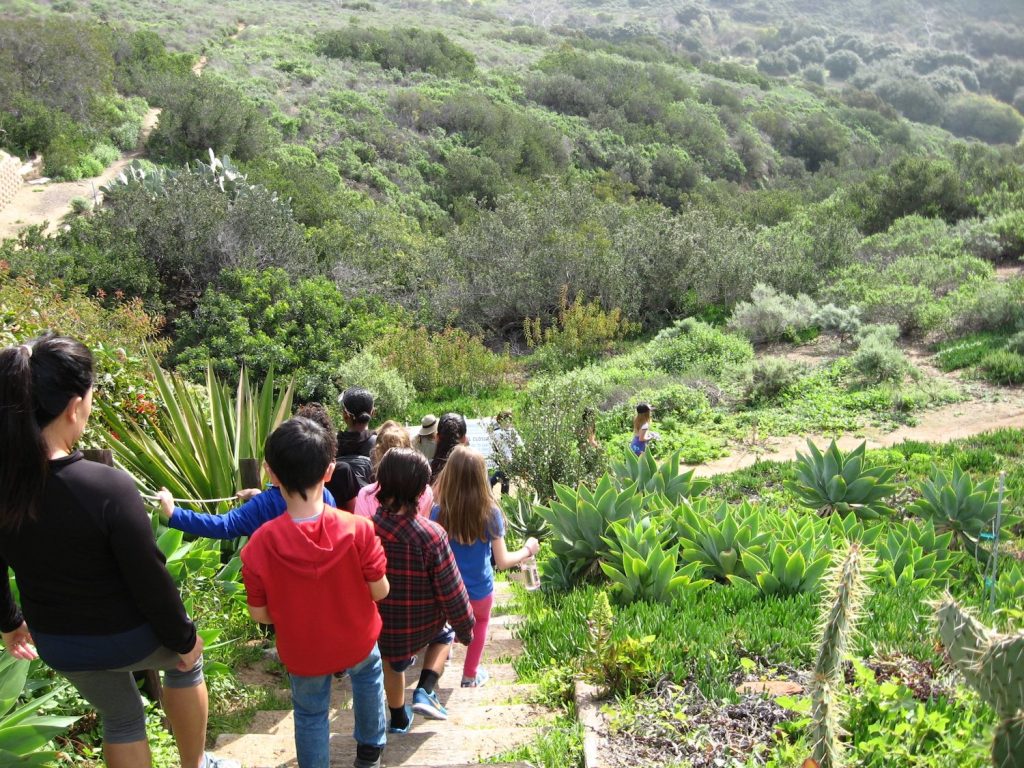 A group of hikers walk down a trail surrounded by nature at Tecolote Caynon in Clairemont, San Diego