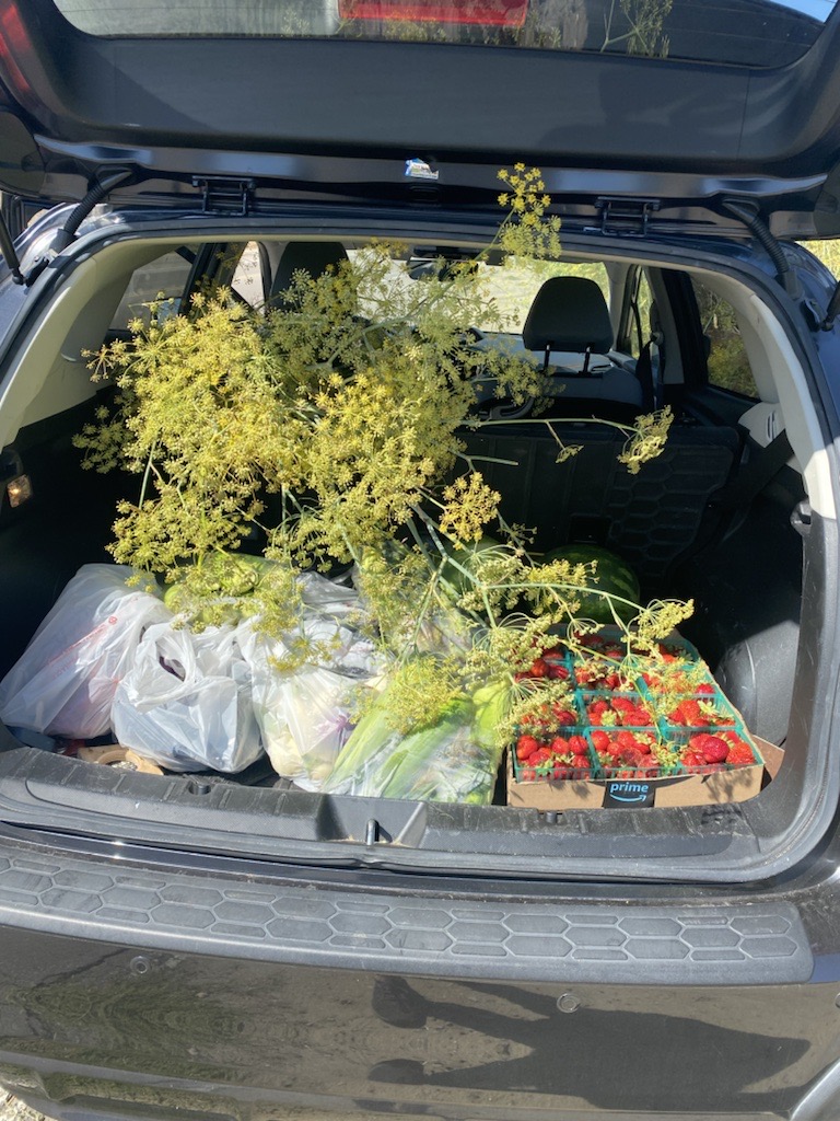 San Diego chef Travis Swikard's trunk full of foraged flowering funnel from San DIego's outdoors