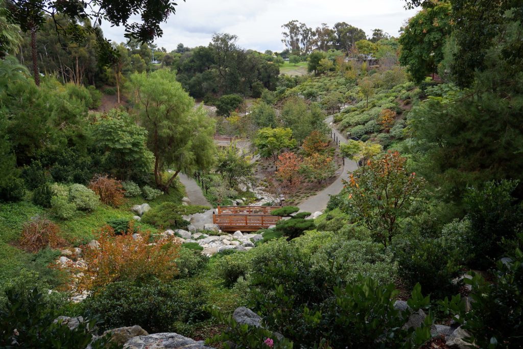 Wide shot of the Japanese Friendship Garden featuring plants, a small bridge, and a stream in Balboa Park, San Diego
