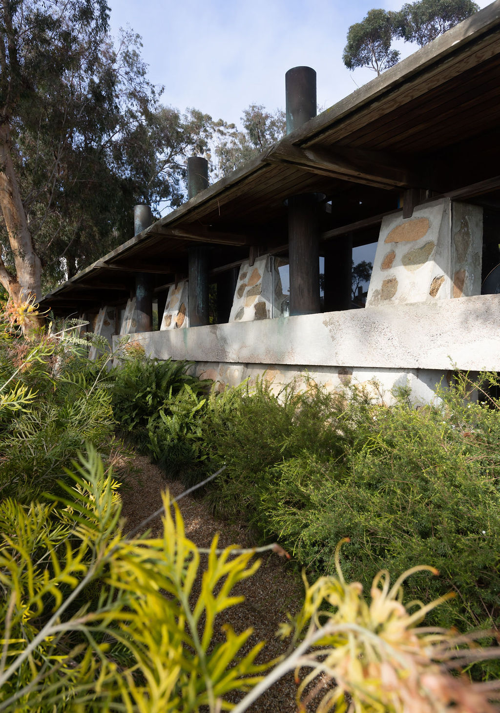 Exterior of La Jolla home designed by Frederick Charles Liebhardt featuring support beams and a garden walkway