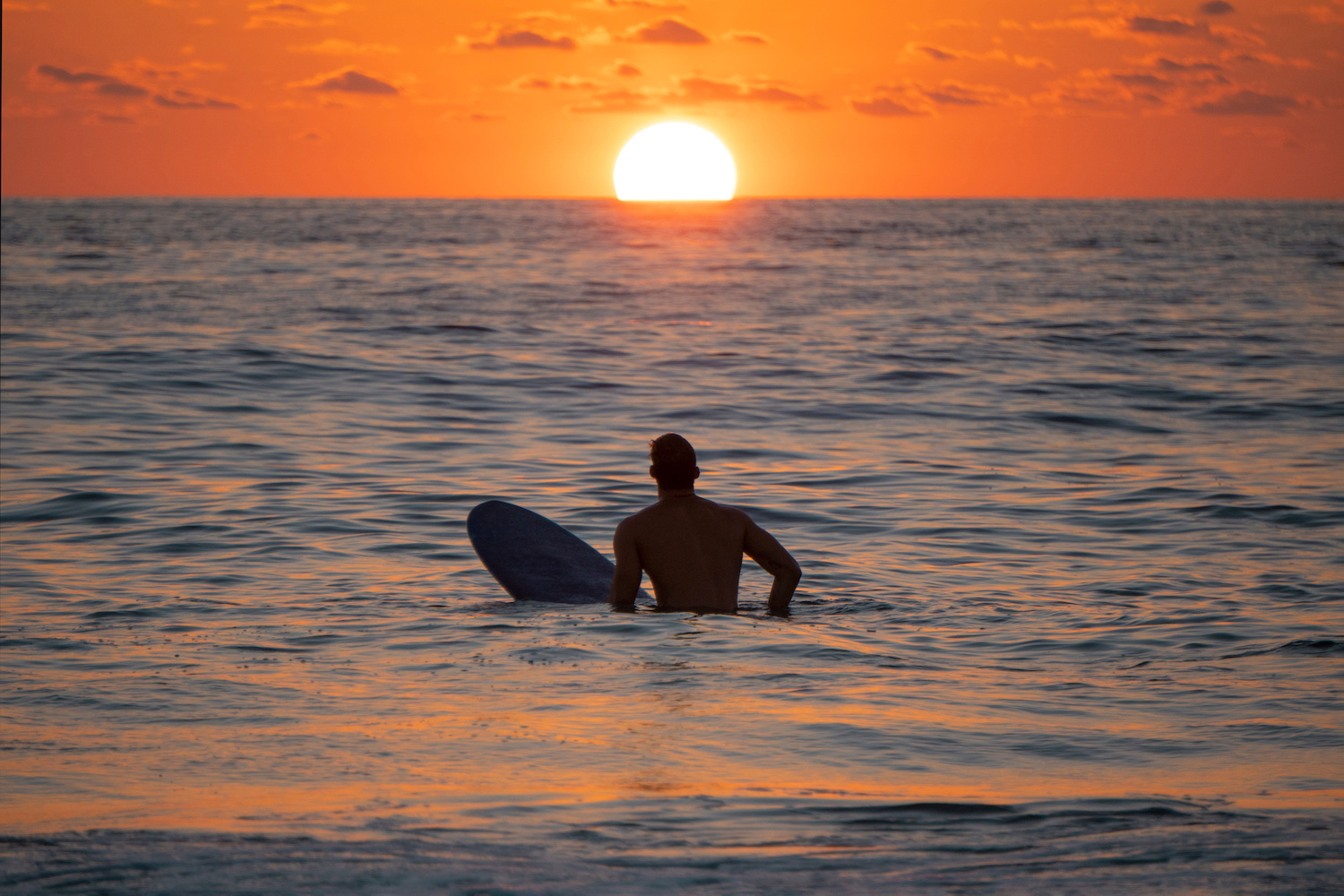 Longboard surfer in Baja California at sunset or sunrise 
