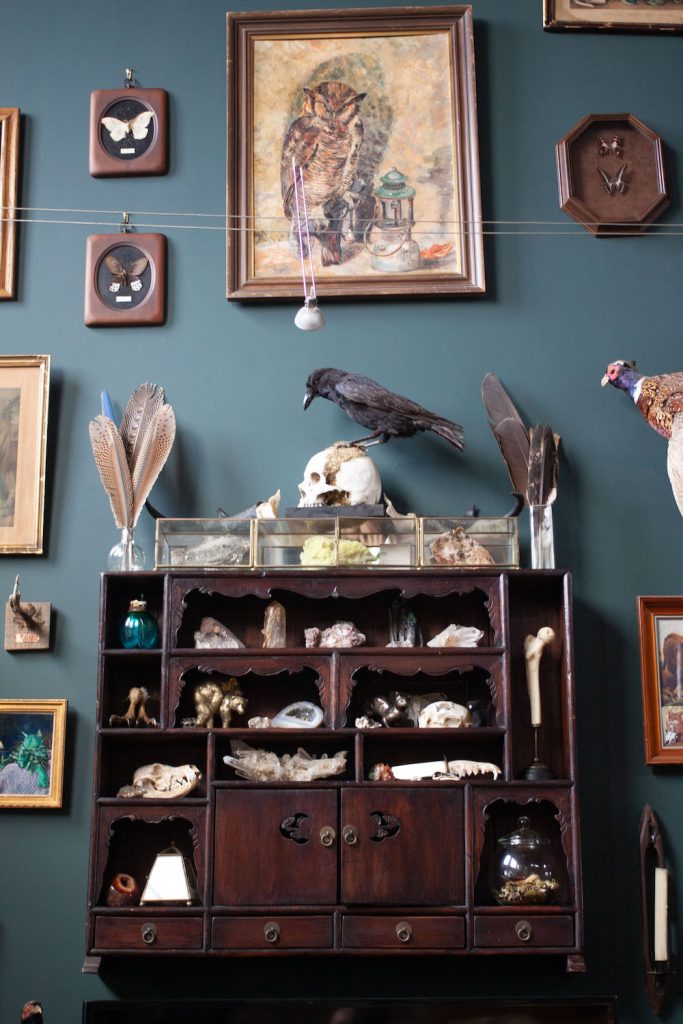 Interior of Gold Dust Collective founders home in Jamul featuring extravagant taxidermy animals and collected items on a cabinet