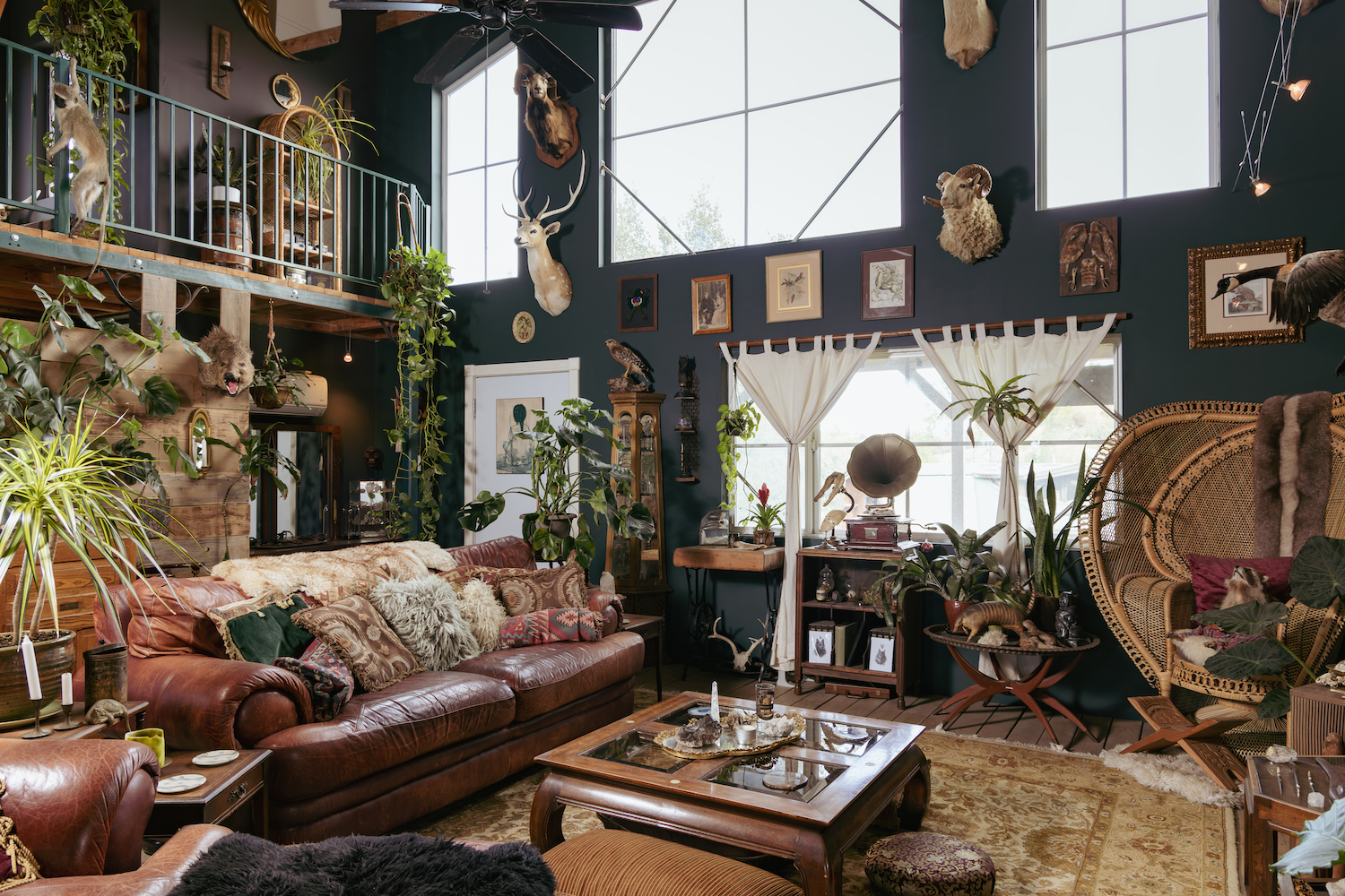 Interior of Gold Dust Collective founders home in Jamul featuring extravagant taxidermy, collectibles, and vintage items