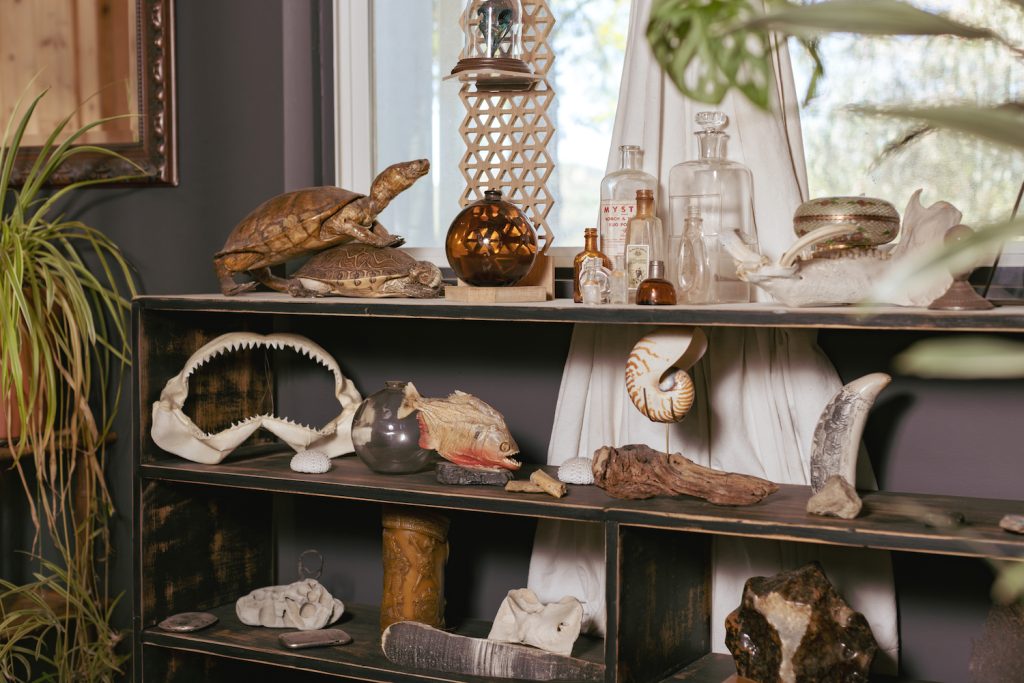 Interior of Gold Dust Collective founders home in Jamul featuring extravagant taxidermy animals and collected items 