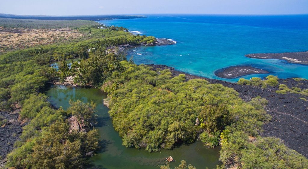 Things to do on the big island of Hawaii including the Kiholo Bay nature reserve