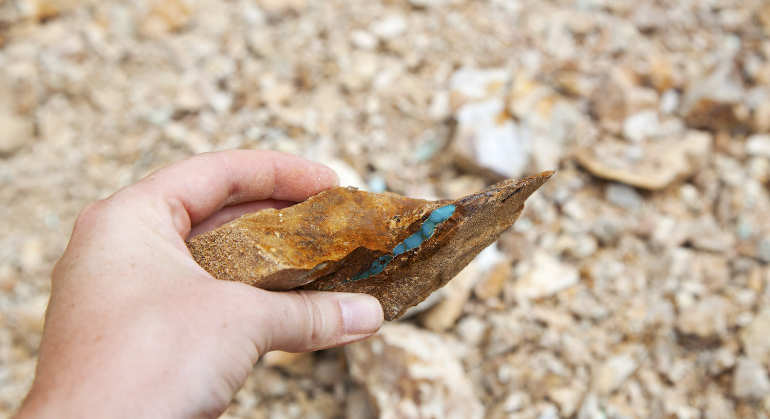 Member of the Otteson family holding a piece of turquoise-threaded rock in Tonopah, Nevada
