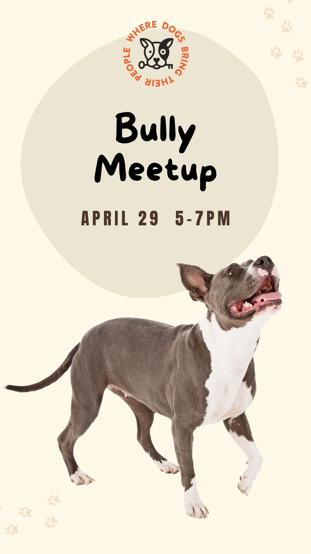 The Dog Society - Bully Meetup - San Diego Magazine