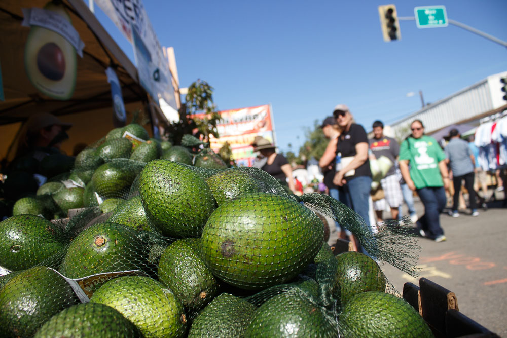 Fallbrook Avocado Festival happening this weekend in San Diego featuring an avocado stand and patrons