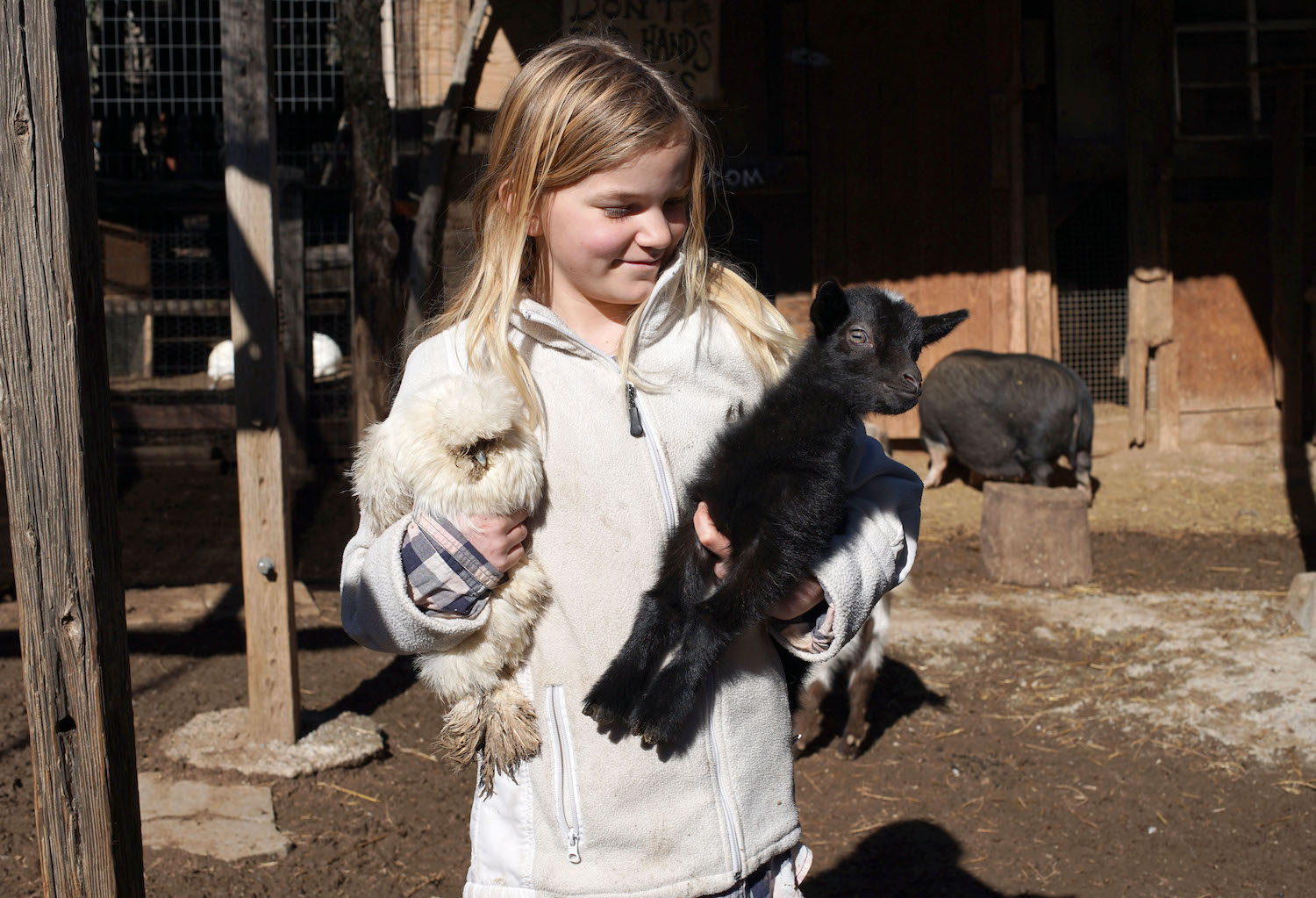 San Diego homeschooling program featuring Fiona Coghill, 10, holdsing her favorite silkie chicken and the baby goat she and her sister have to feed several times a day in the petting zoo where she and mother and sister live in the town of Wynola, CA.