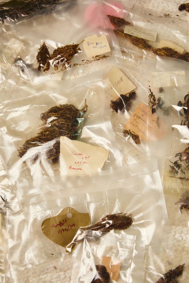 Inside San Diego's Rarest Weed Collection | San Diego Magazine