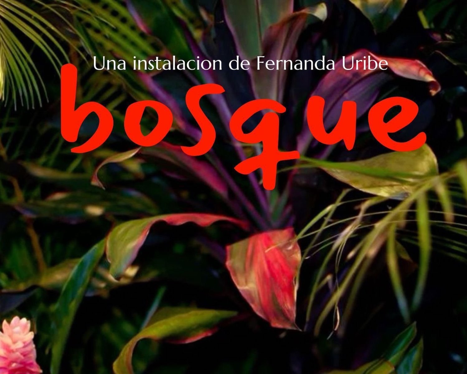 World Design Festival Tijuana Design Week 2024 featuring Fernanda Uribe's Bosque art exhibition