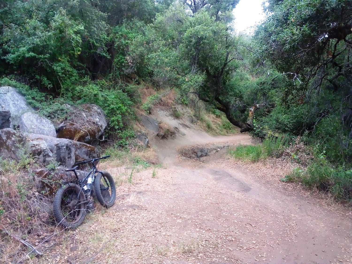 The Anderson Truck Trail for mountain biking in San Diego near Alpine featuring a mountain bike on the trailhead
