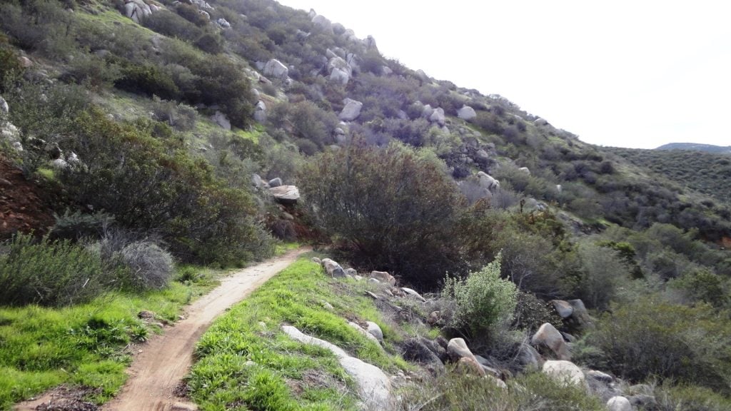 The Anderson Truck Trail, a popular mountain biking trail in San Diego near Alpine