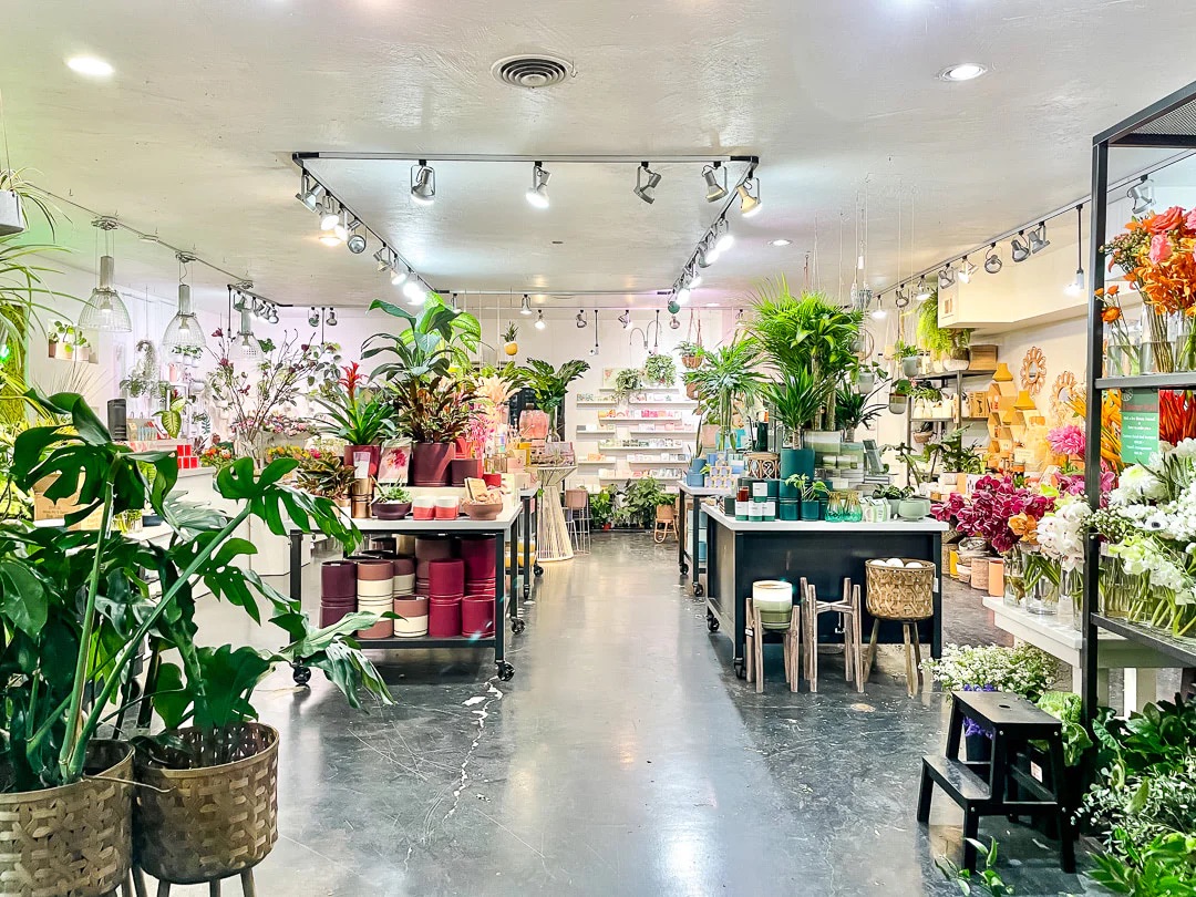 Interior of San Diego plant shop Green Fresh Florals + Plants, a popular place to buy houseplants for decorating