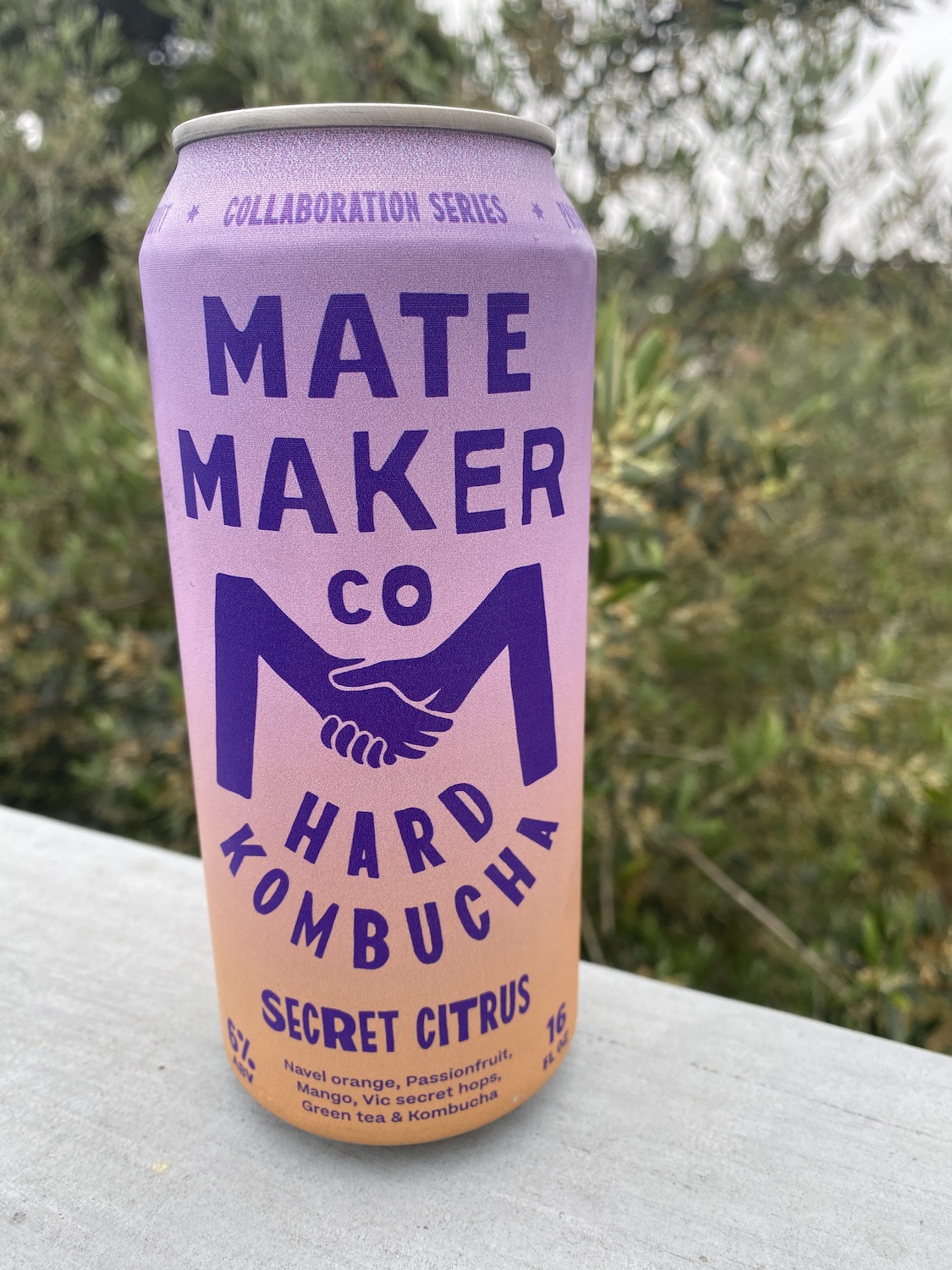 The best drinks in San Diego to try this month including the Secret Citrus from Mate Maker Co Hard Kombucha 