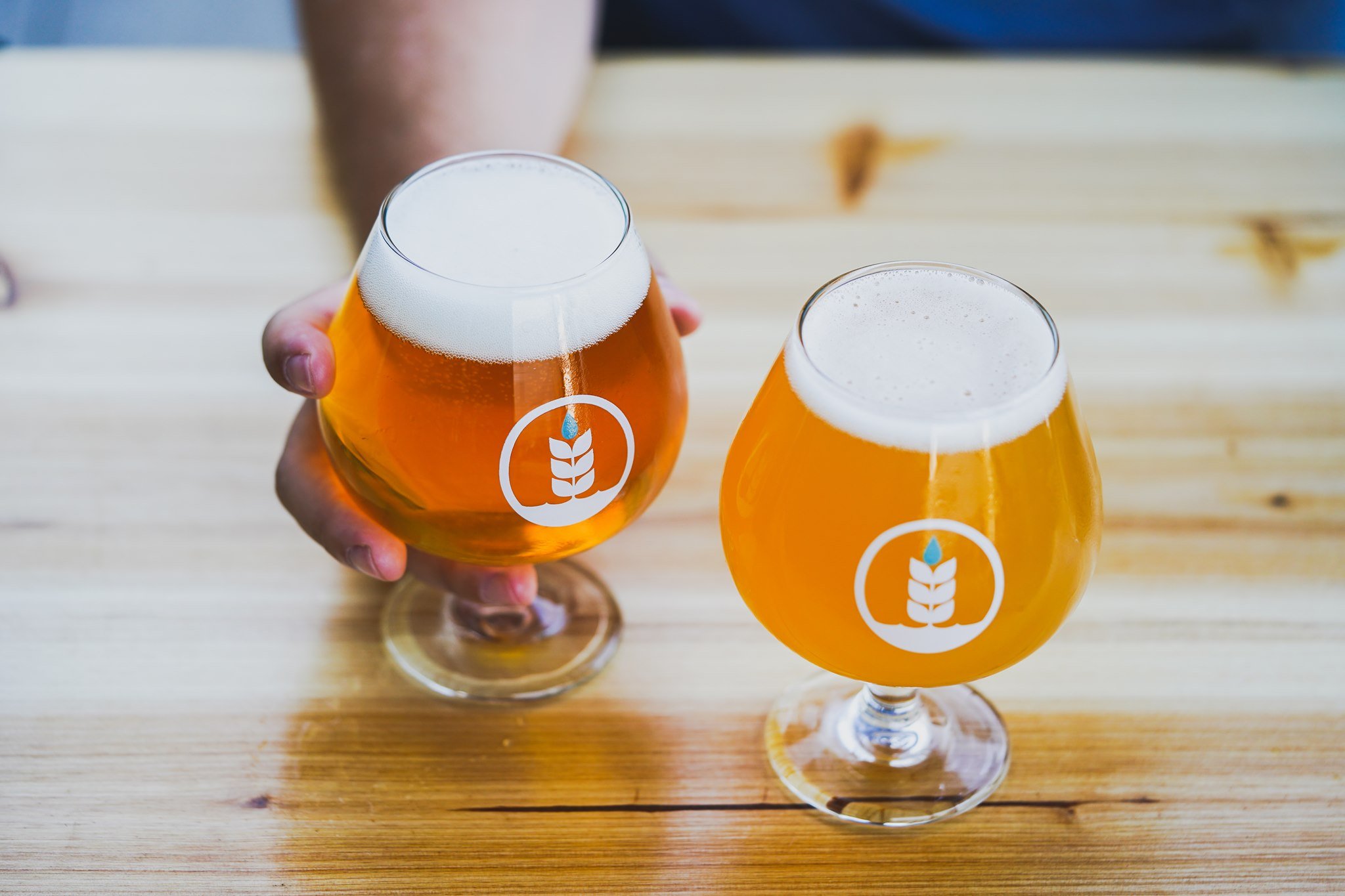 Best San Diego breweries and beer featuring Pure Project 