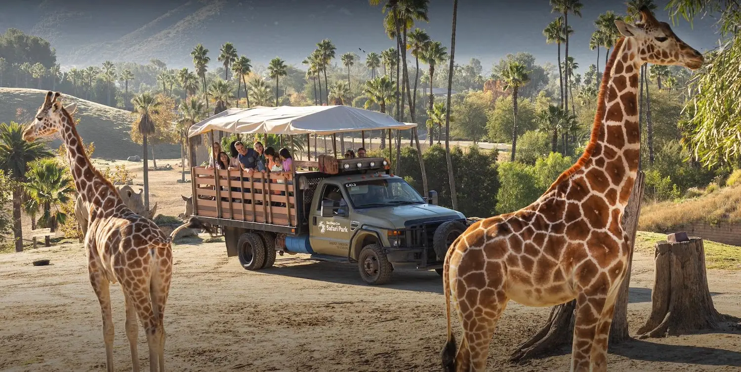 Things to do on Father's Day in San Diego featuring the San Diego Safari Park tours