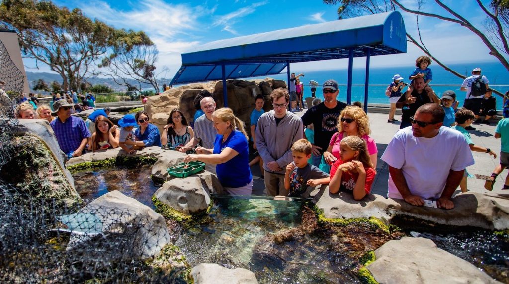 A volunteer at San Diego's Birch Aquarium at Scripps in La Jolla teaching kids about tide pools