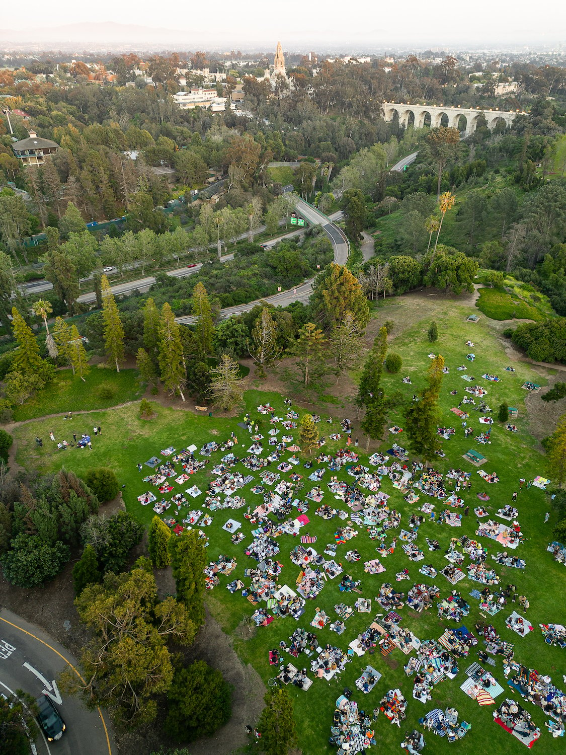 Aerial view of the San Diego Winyl Club every Wednesday at Balboa Park