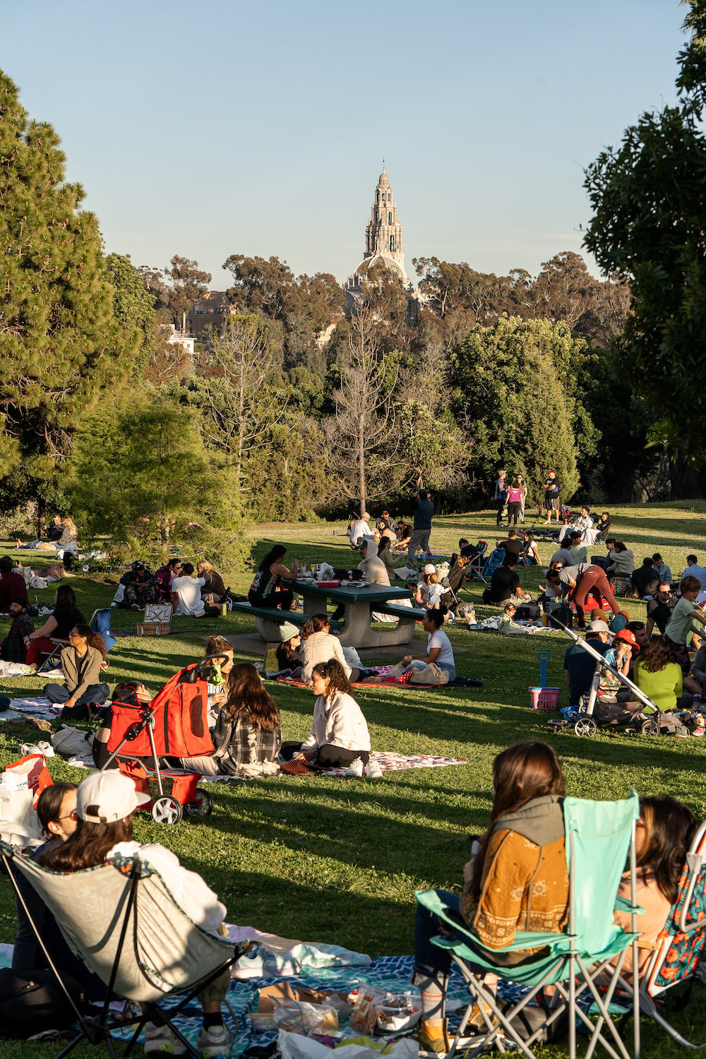 The San Diego Winyl Club featuring live DJs, picnics, wine, and charcuterie every Wednesday at Balboa Park