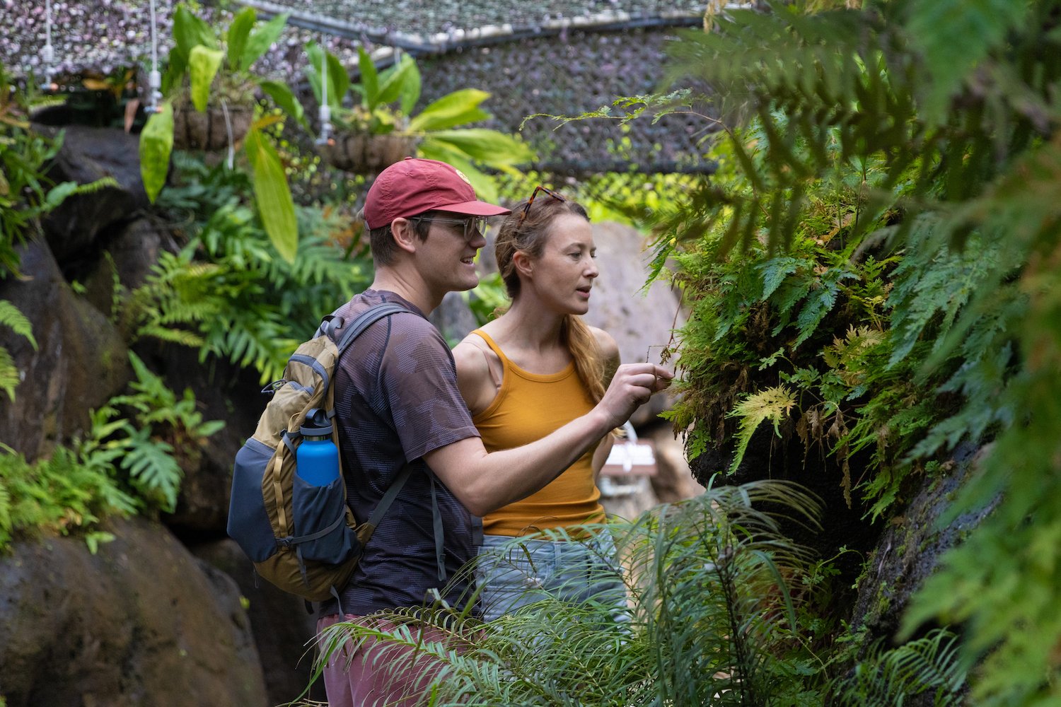 The National Tropical Botanical Garden leading a tour for visitors to explore native Hawaiian plant life