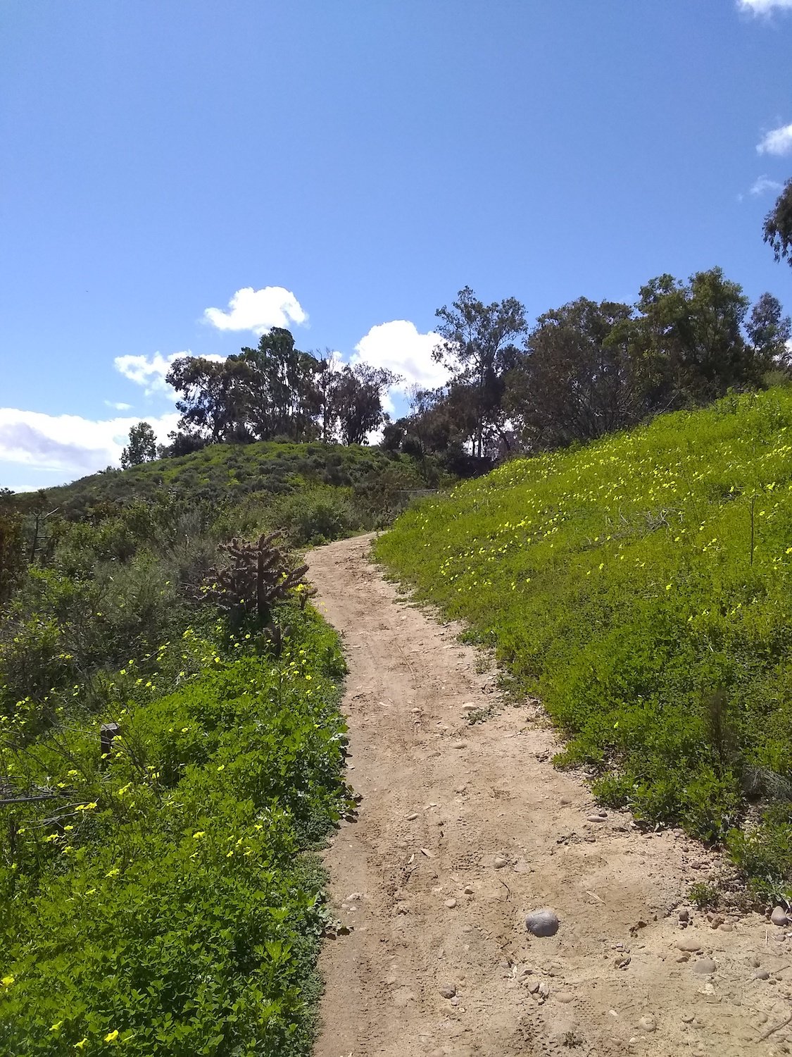 San Diego bike trail called Florida Canyon Trail feating an incline route towards Balboa Park