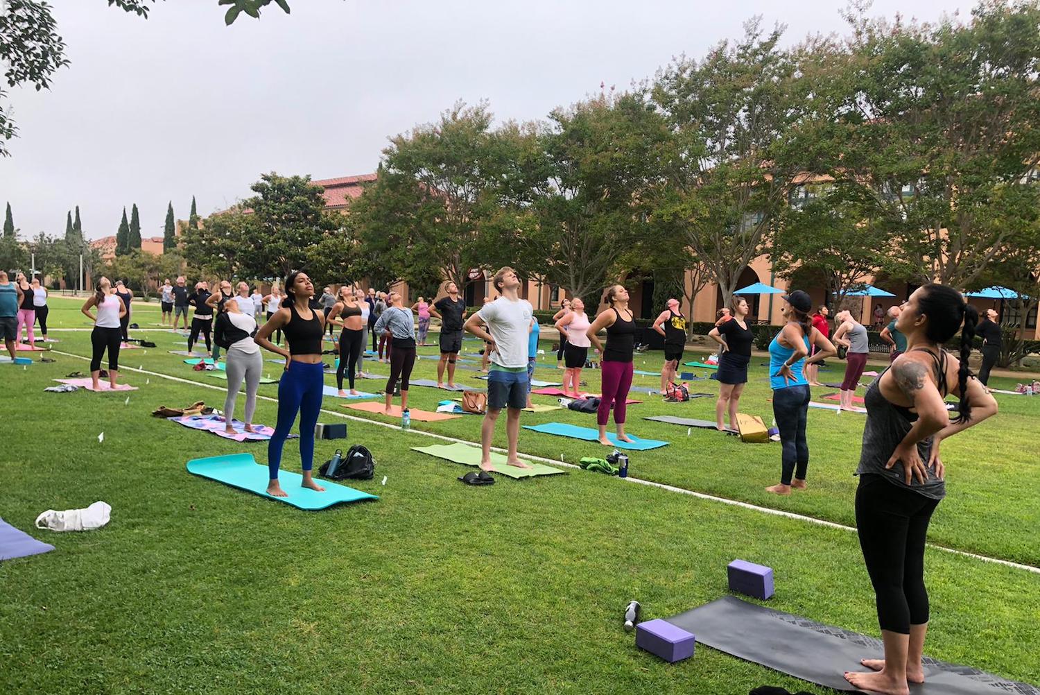 Things to do this weekend in San Diego featuring the Anchored in Wellness Festival at Liberty Station in Point Loma