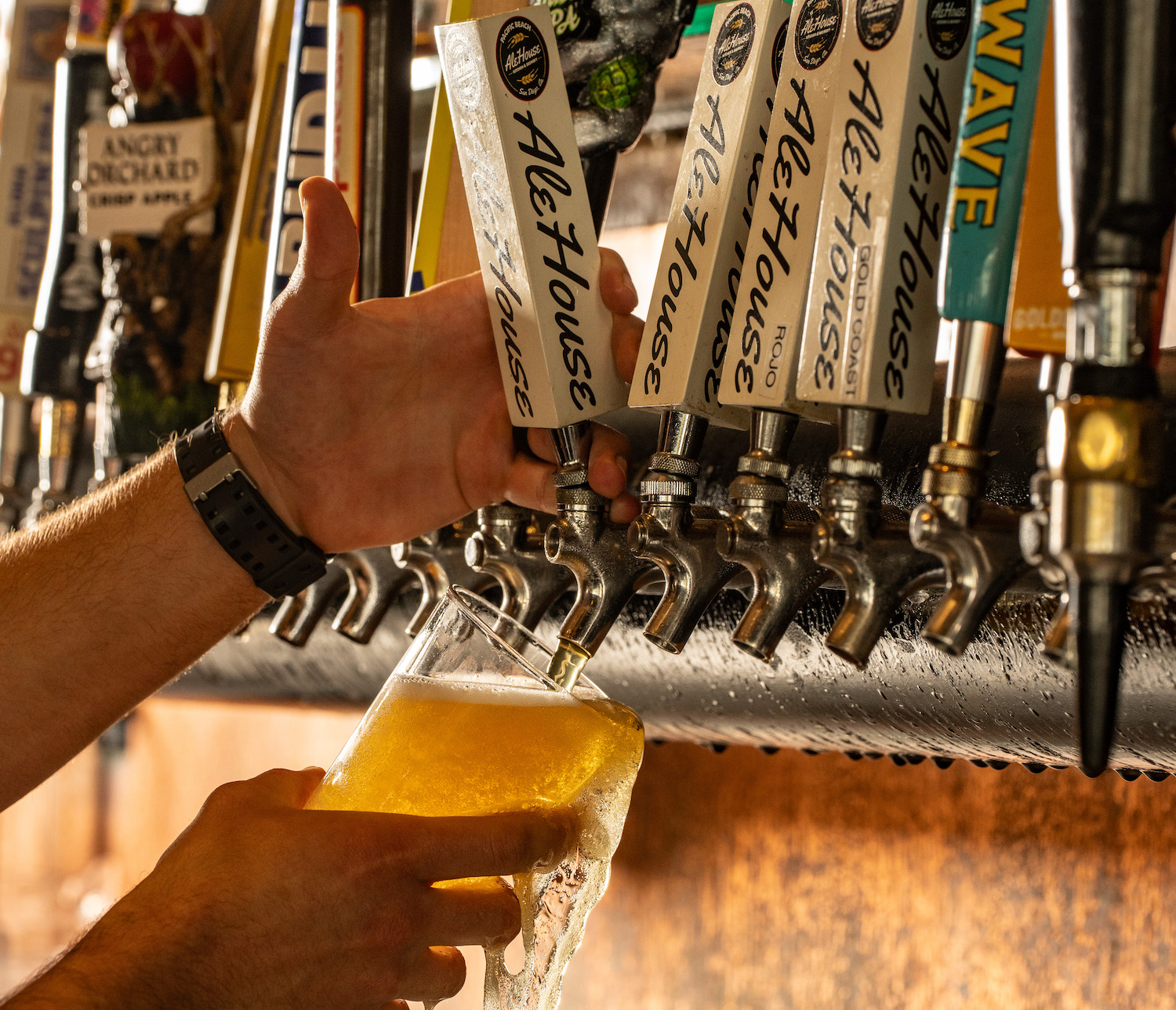 San Diego's best breweries featuring PB Ale House